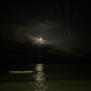 collector-the avatar