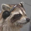 sleepytrashpanda avatar