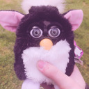 2005furbydream avatar