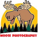 2moosesontheloose avatar