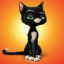 8ballcat-blog avatar