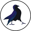 a-witch-named-crow avatar