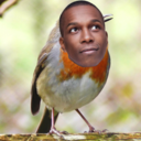 aaronburb-blog avatar