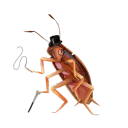 academiccockroach avatar