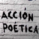 accionpoeticafotos avatar