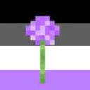 ace-alliums avatar