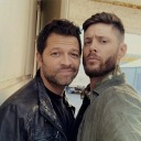 ackles-loves-mishka avatar