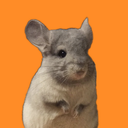 adobethechinchilla avatar