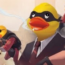 aggressive-duck avatar