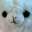 alpacassing avatar