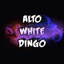 altowhitedingo avatar