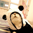 amendopanda avatar