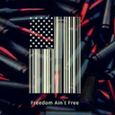 american-colors avatar