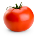 anachronistictomato avatar