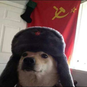 anarchist-communist-propaganda avatar