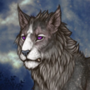 anitaofthesavannah avatar