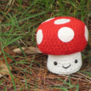 anonymushroom-blog-blog avatar