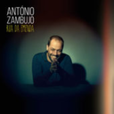 antoniozambujo avatar