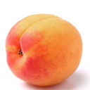 apricot1312 avatar