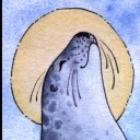 arctic-selkie avatar