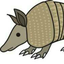 armadilloarmy-blog avatar