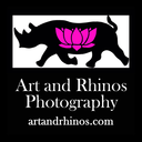 artandrhinosphotography avatar