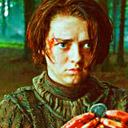 arya0fwinterfell avatar