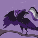 asexualbookbird avatar