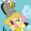 ask-fluttershy-and-discord-blog avatar