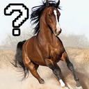 askhorseebooks avatar