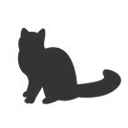 assortedcats avatar