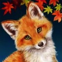 auburn-fox avatar