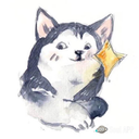 austinqin-blog avatar