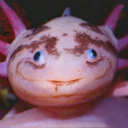 autisticaxolotl avatar