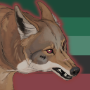 autisticcoyote avatar