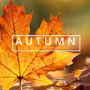 autumnians avatar