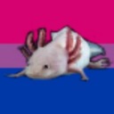 axolotlife avatar