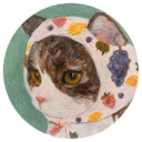 babooshcat avatar