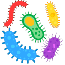 bacteriacollective avatar