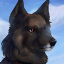 bandit-the-tervuren avatar