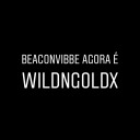 beaconvibbe avatar