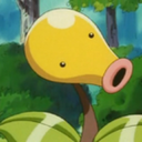 bellsprout avatar