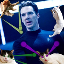 benedictcatbatch avatar