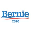 berniesrevolution avatar