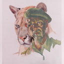 bigcatsofwar avatar