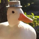 bigduckenergy avatar