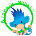 bighairmonkey avatar