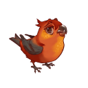 birbtschirb avatar