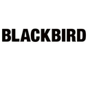 blackbirdjeans avatar