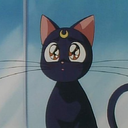 blackcat-onthemoon avatar